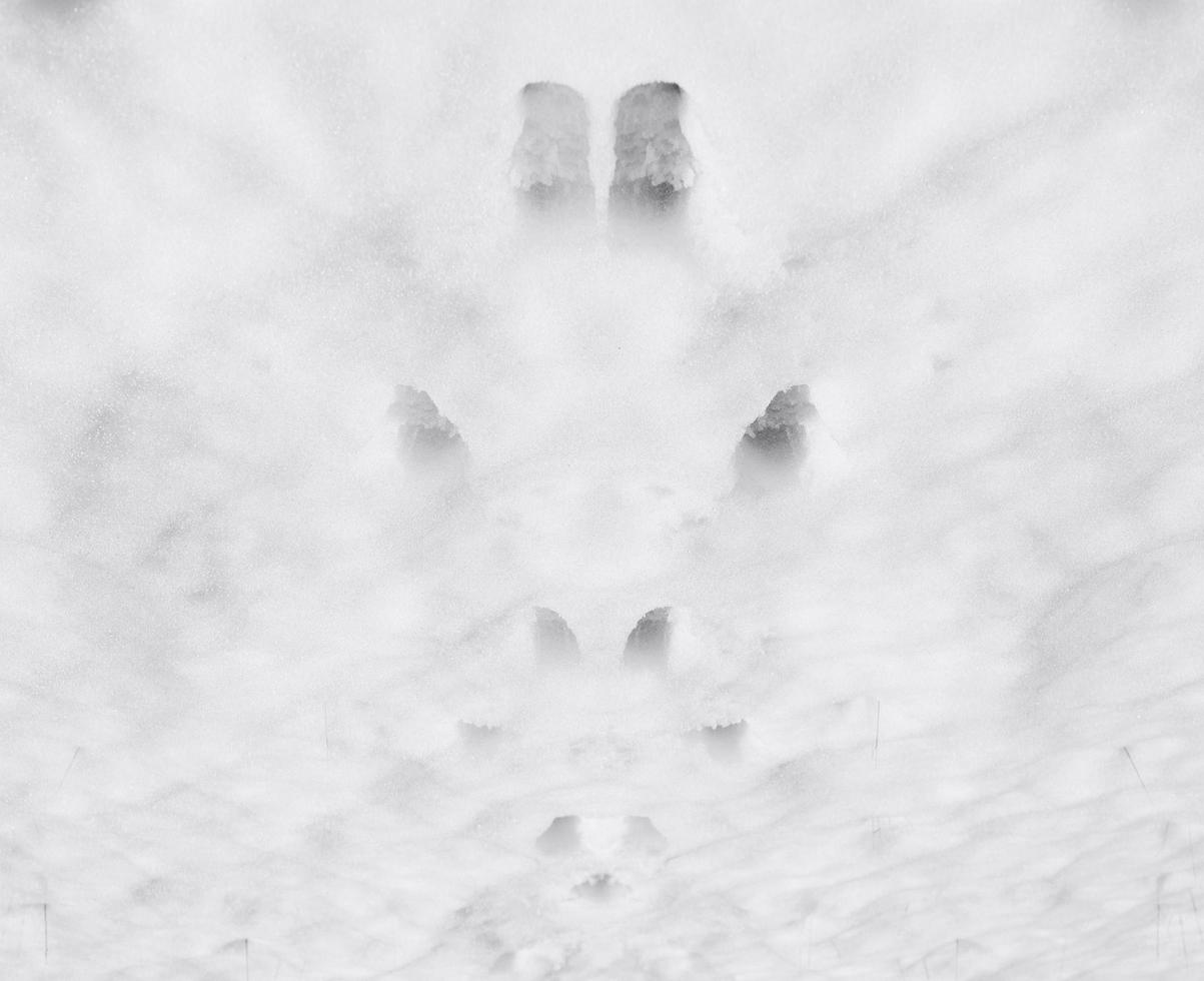 nieve blanca abstracta foto