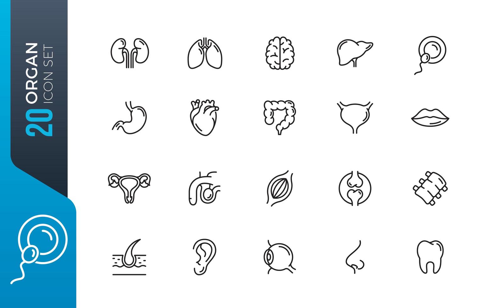 Minimal organ icon set vector