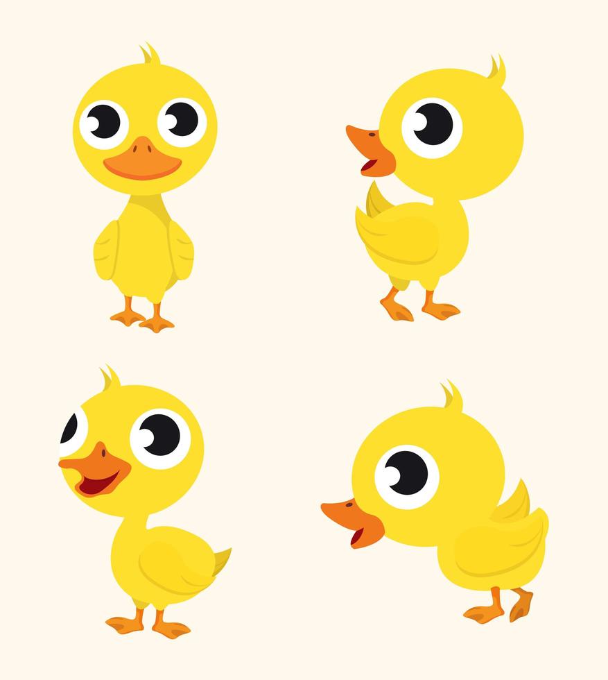 Collection of cute happy yellow ducks vector