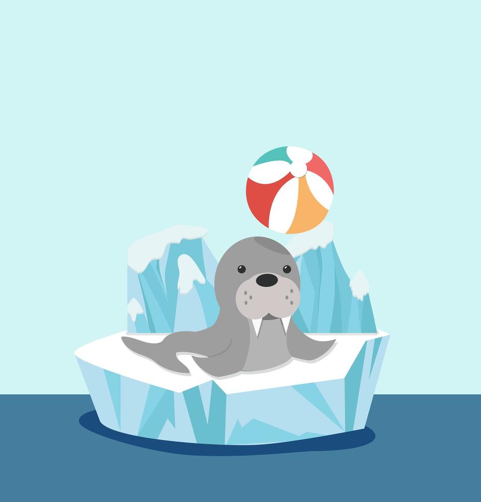 Sealion on ice floe with beach ball vector