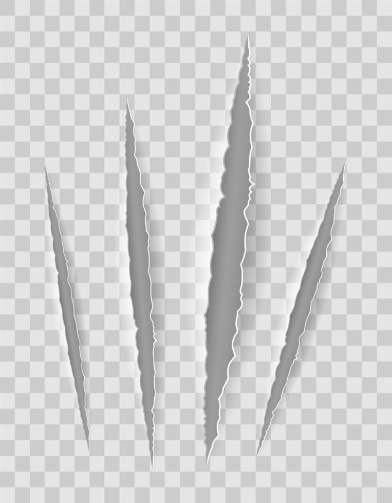 Scratch claw cuts paper with transparent shadows vector