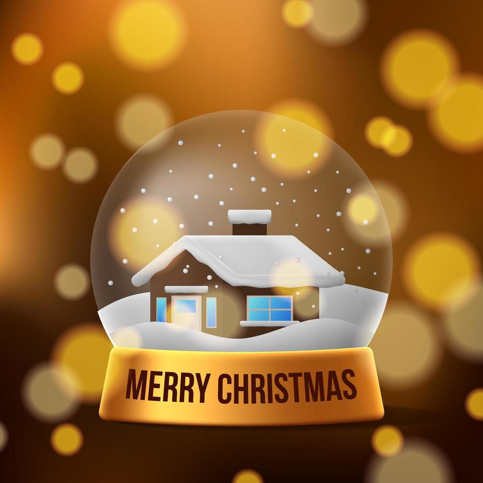 3D the Christmas home snow globe decoration vector