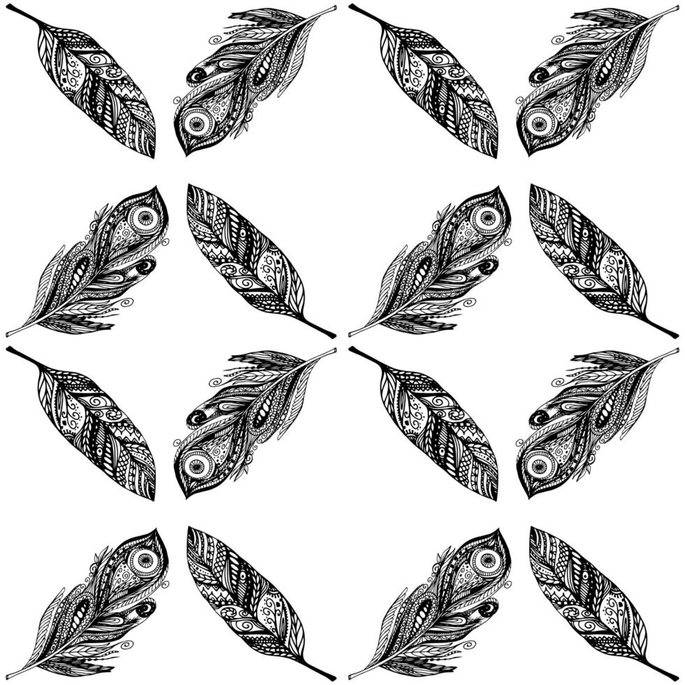 Pattern with feathers. vector