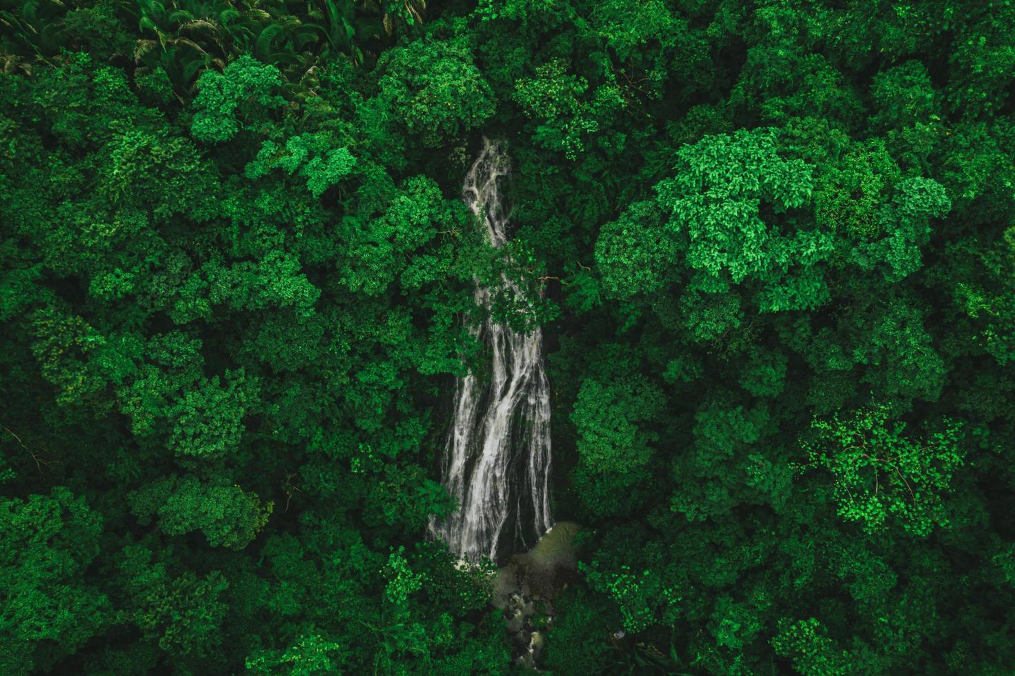 Waterfall in the forest photo