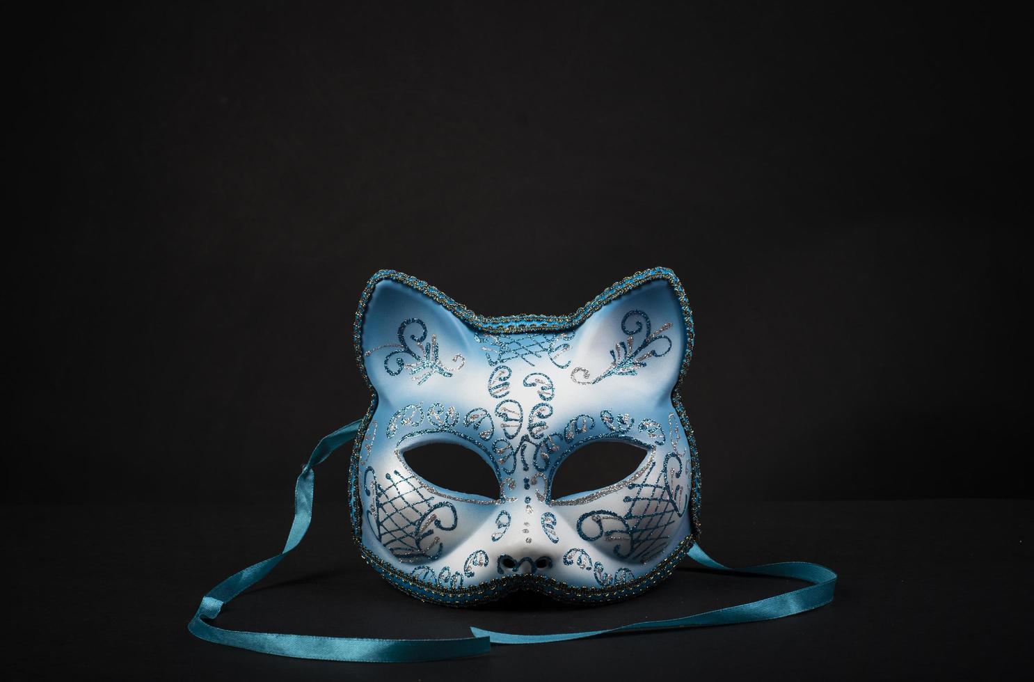 Colored cat-shaped carnival mask for a celebration photo