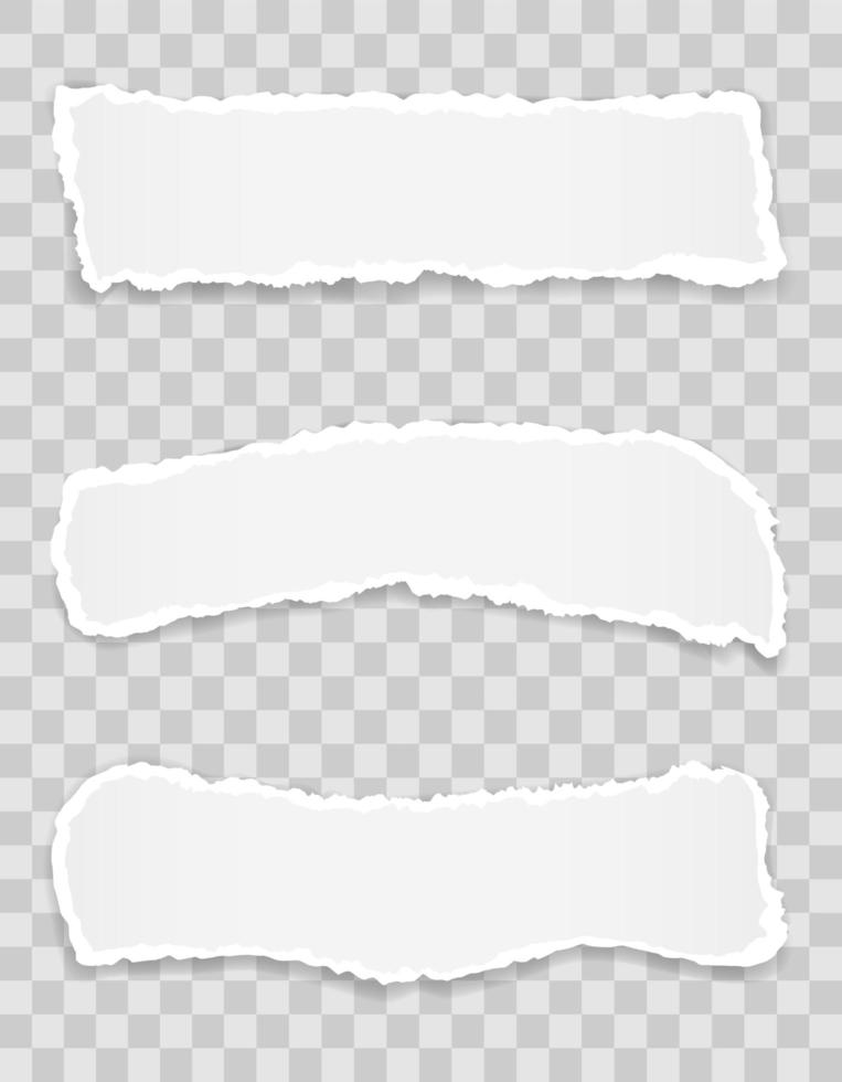 Torn paper edge for design with transparent space set vector