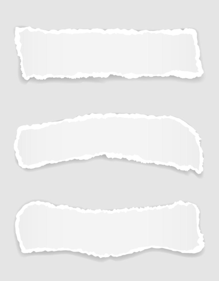 Torn paper edge for design set vector