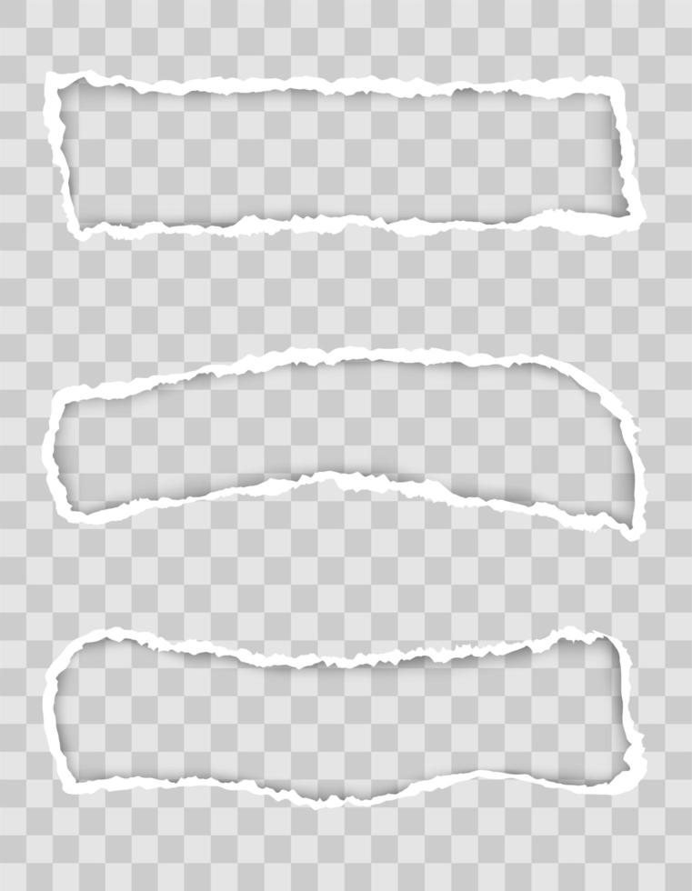 Torn paper edge for design with transparent space set vector