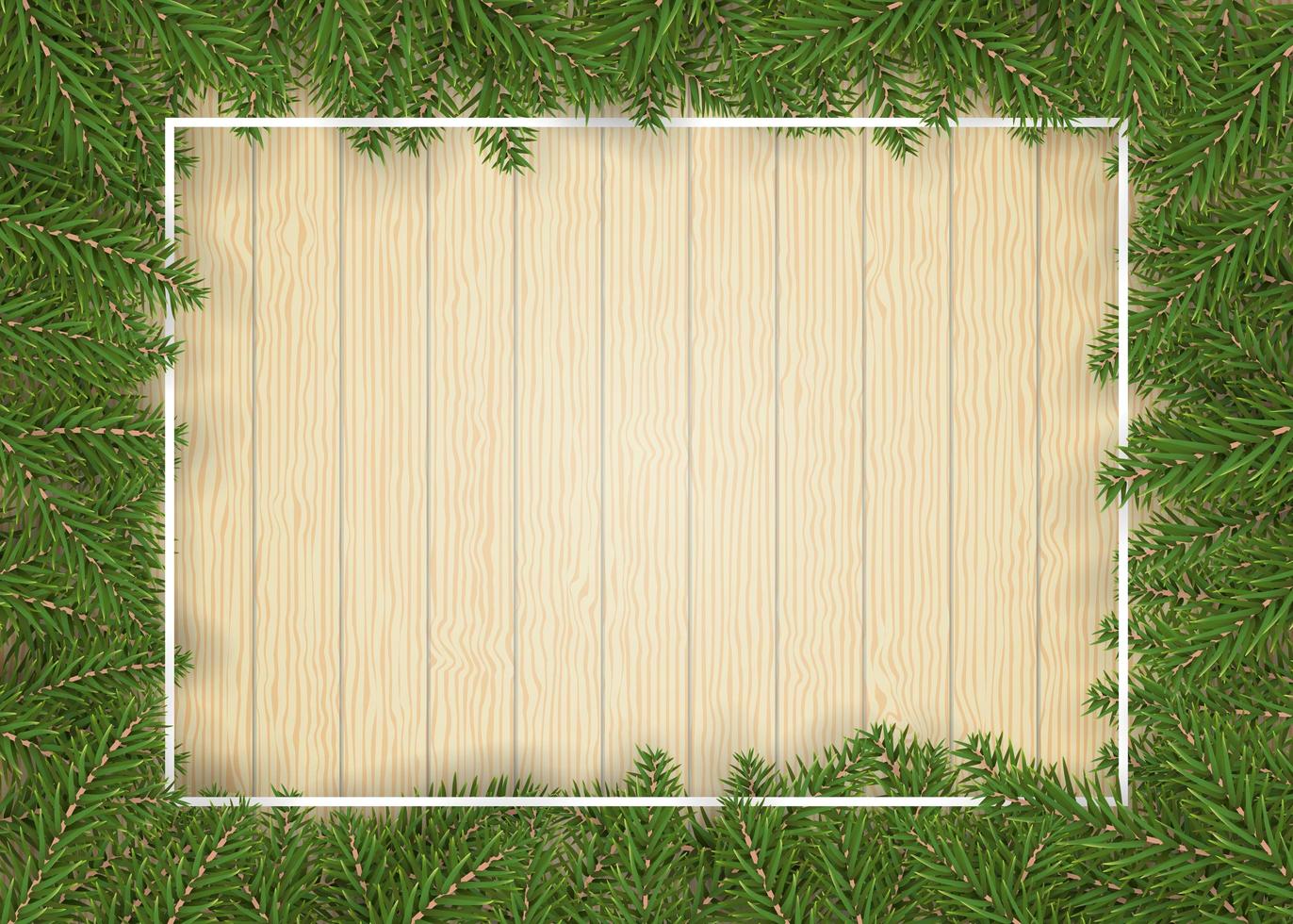 Christmas fir tree border for decor and picture vector