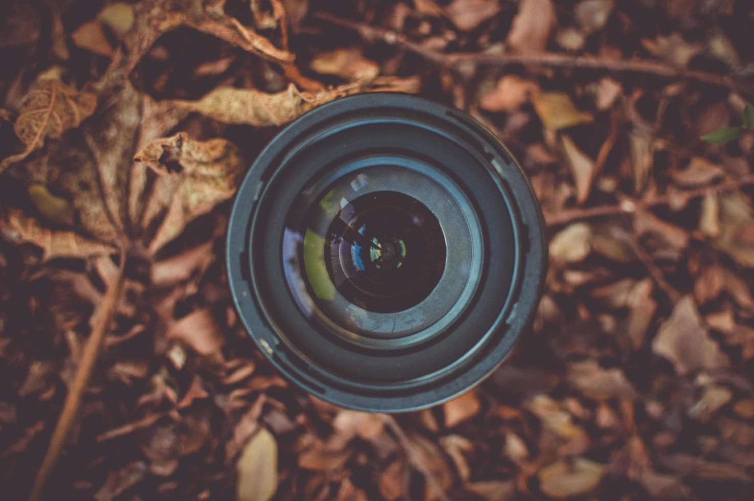 Black camera lens on brown dried leaves photo