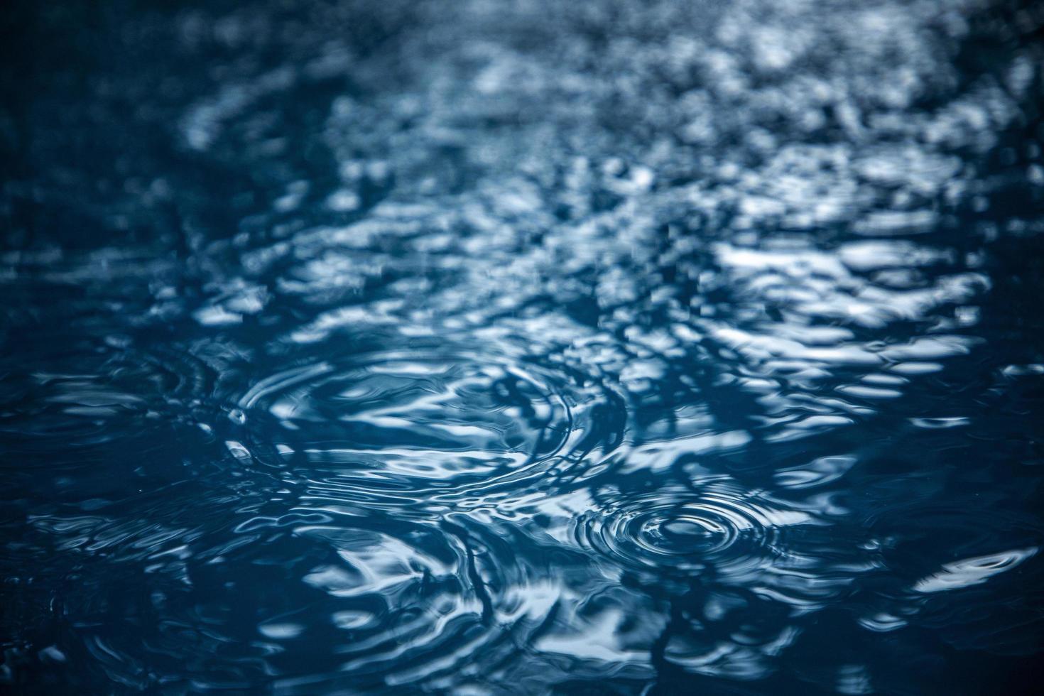 Close-up of a puddle of water photo