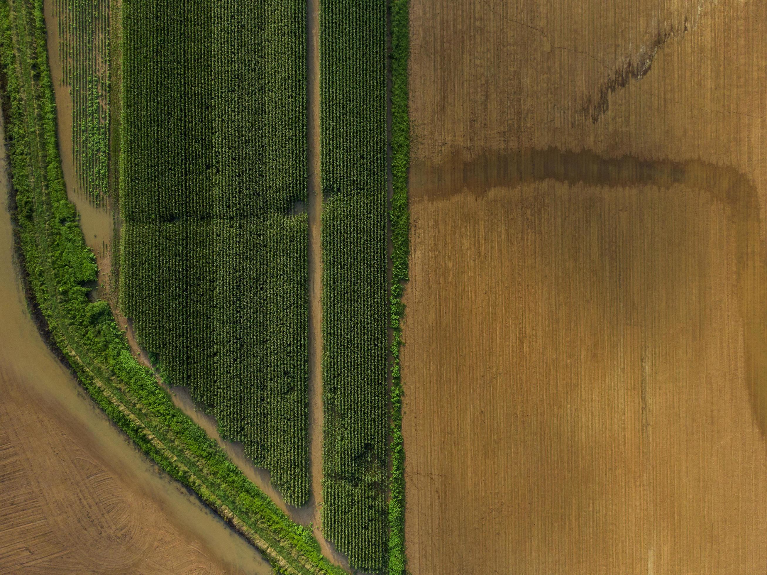 Aerial view of a green and brown field 1758842 Stock Photo at Vecteezy