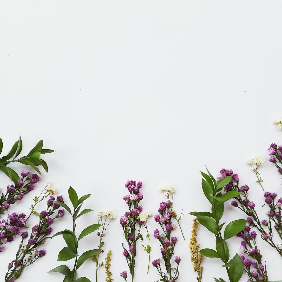 flores púrpuras y blancas sobre un fondo blanco foto