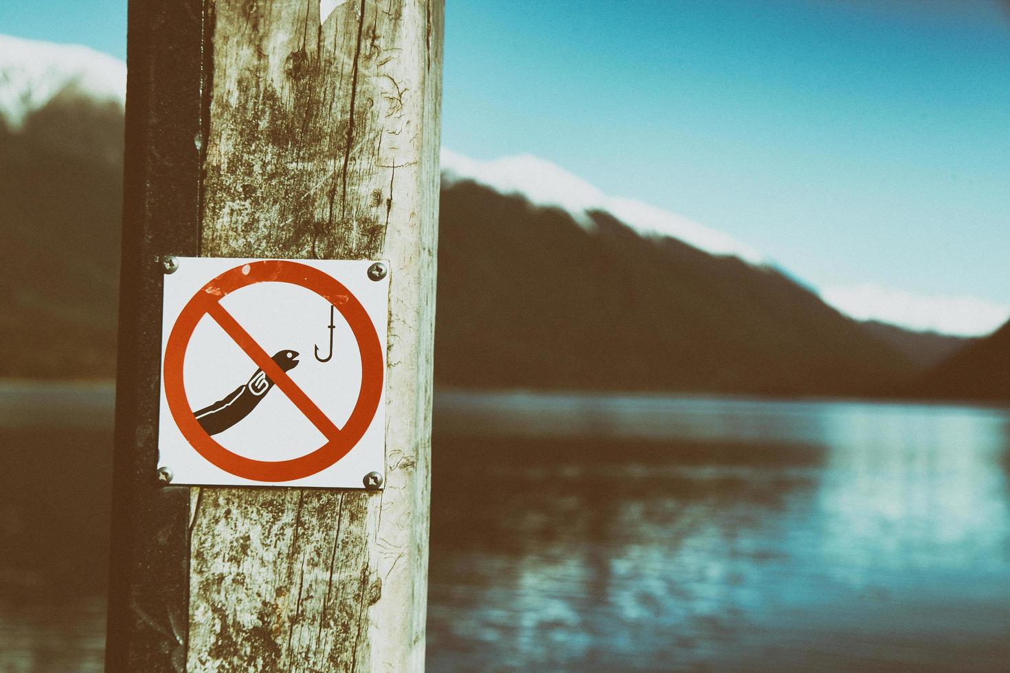 Close-up of a no fishing sign photo