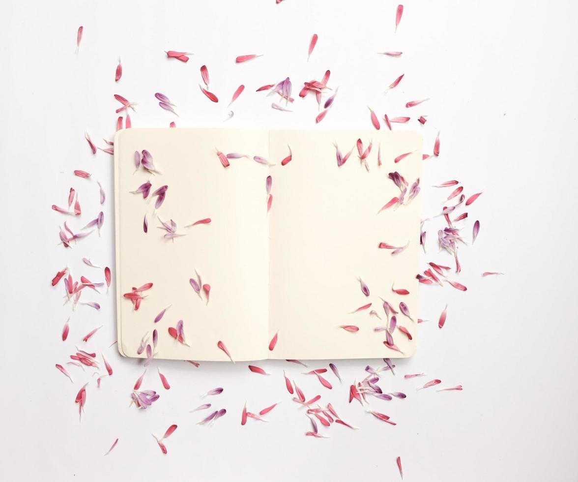 Open notebook covered in petals photo