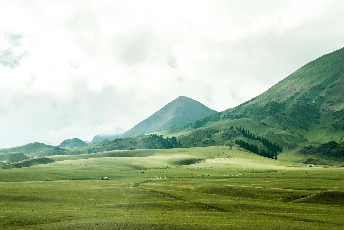 Bird's eye view of grassland beside mountain photo