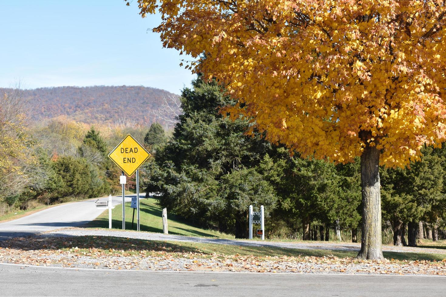 Dead end sign in an autumn landscape photo