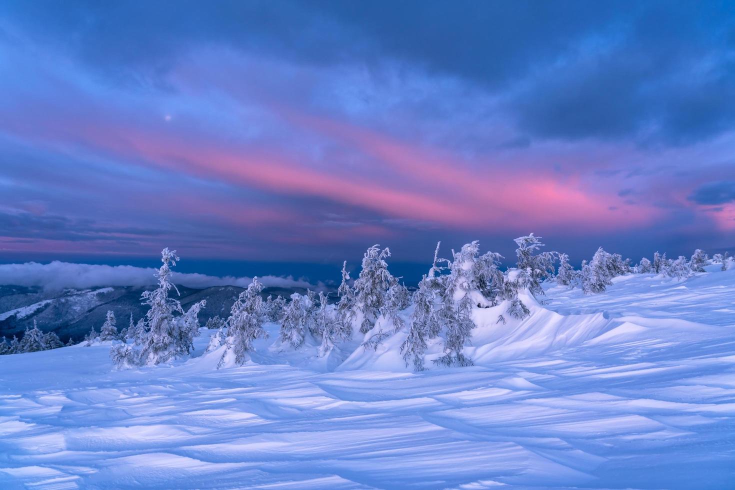 Winter landscape at sunrise photo