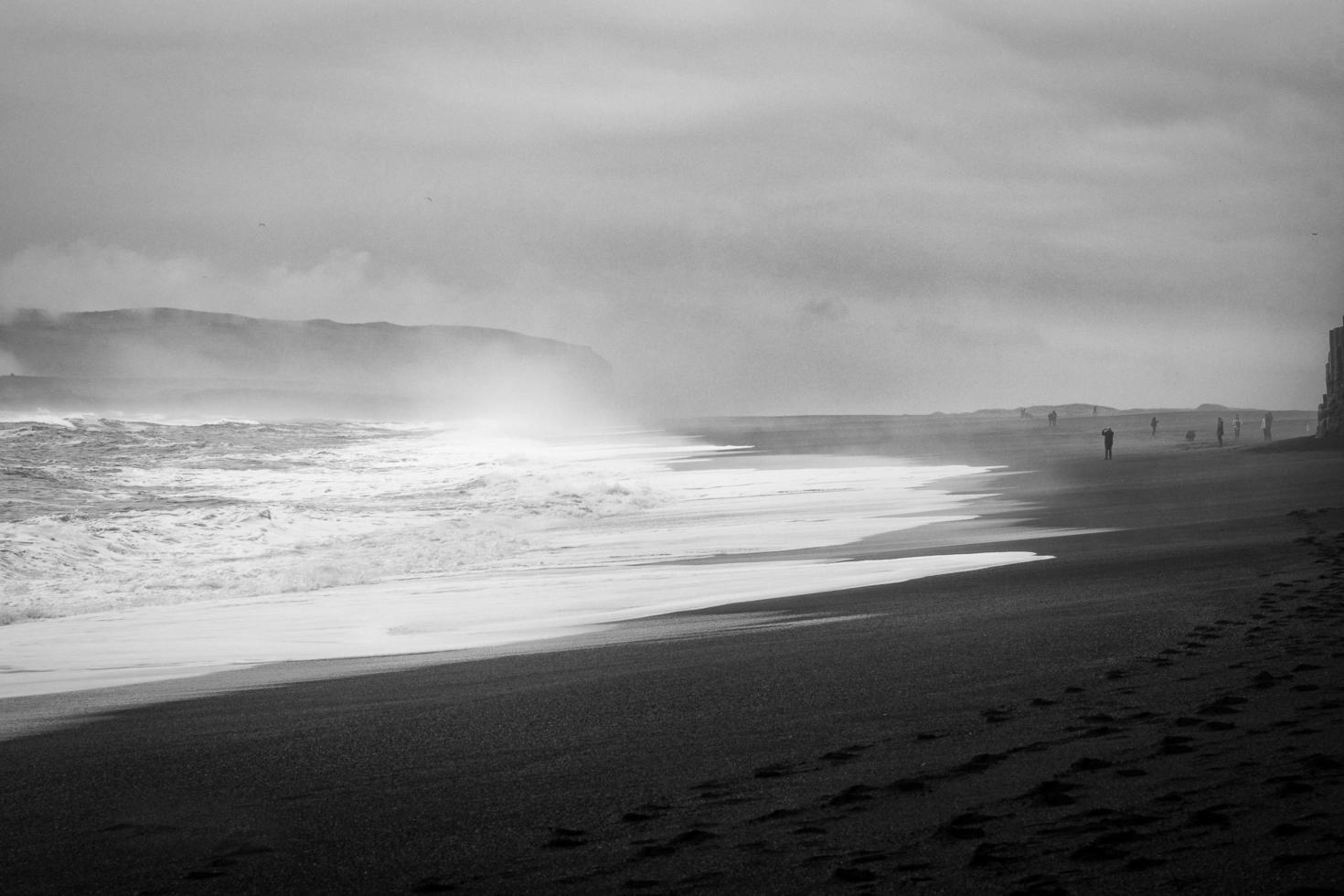 Seashore in grayscale photo