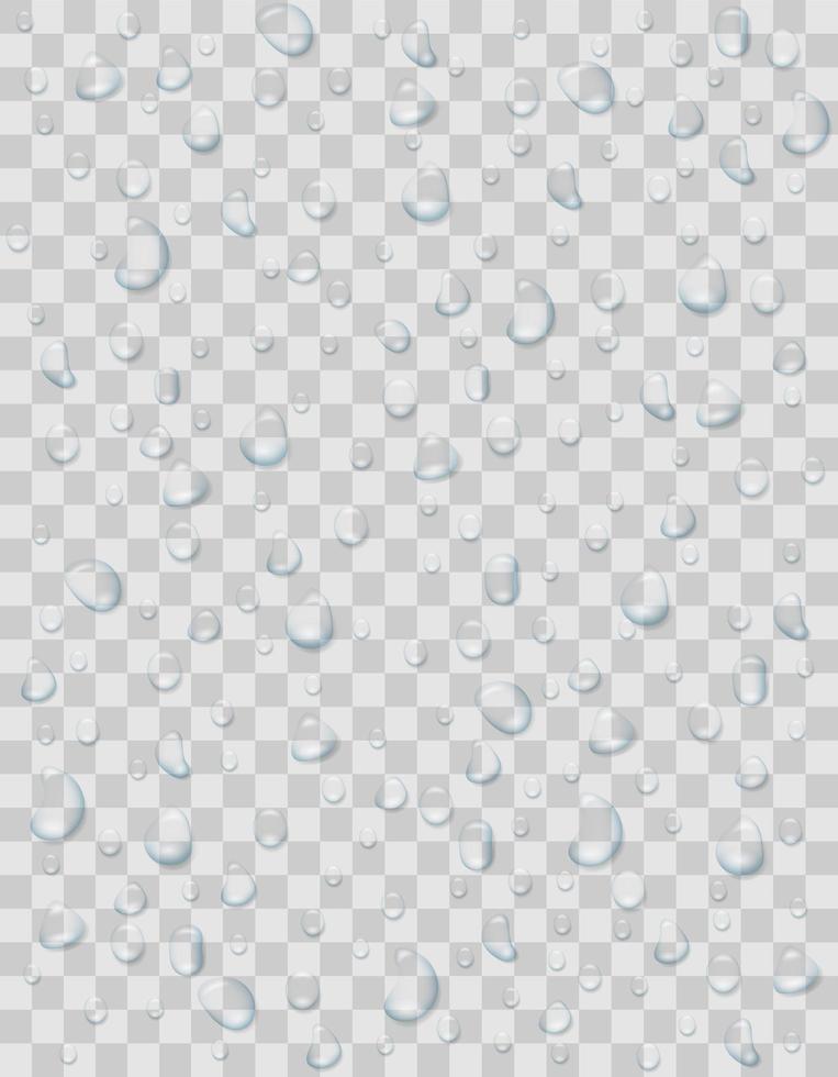 gotas de agua o lluvia sobre fondo transparente vector