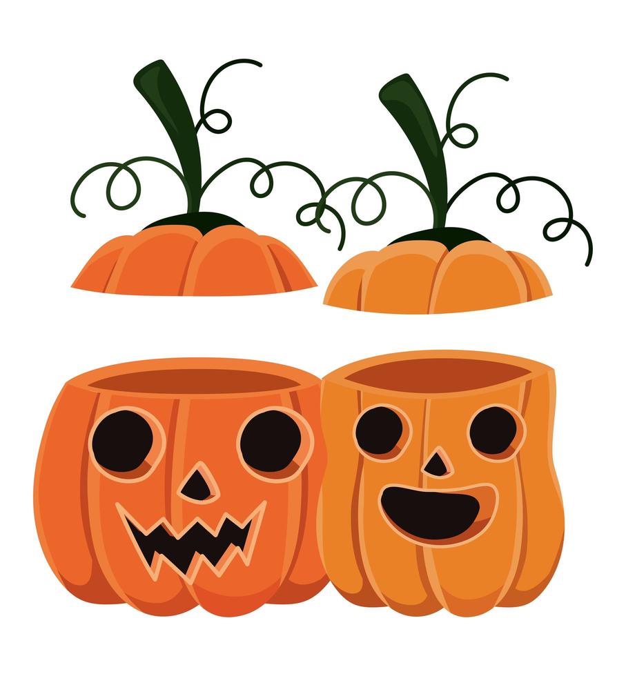 Halloween two pumpkins cartoons with covers vector design