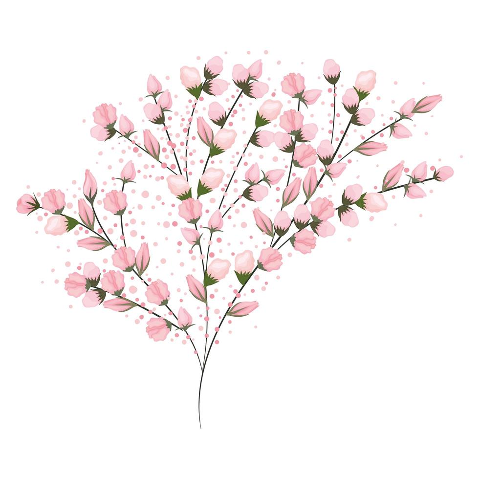 Pink buds flowers bouquet painting vector