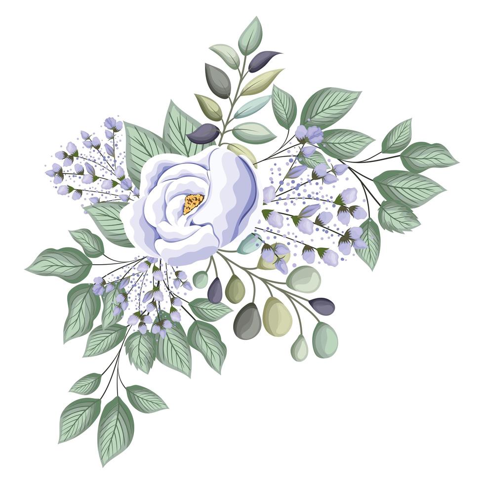 flor rosa blanca con capullos y hojas de pintura vector