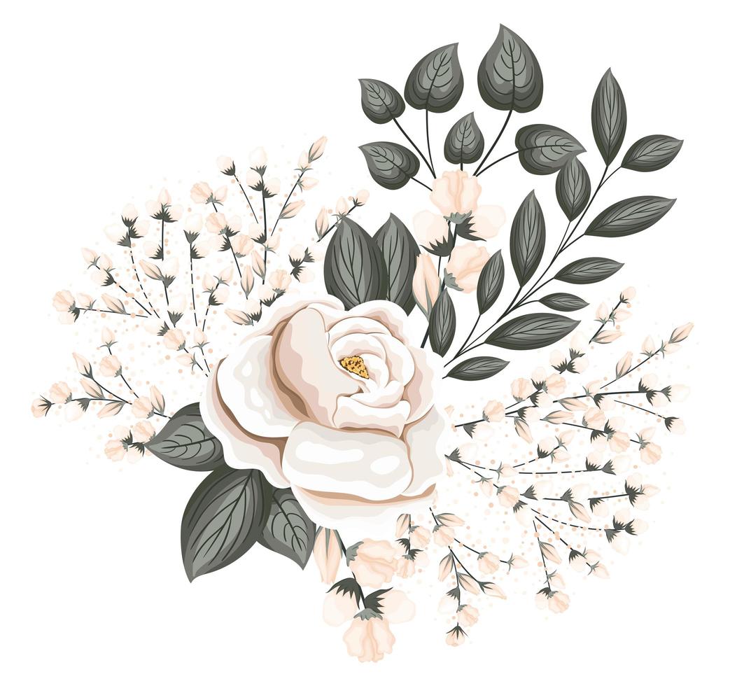 flor rosa blanca con capullos y hojas de pintura vector