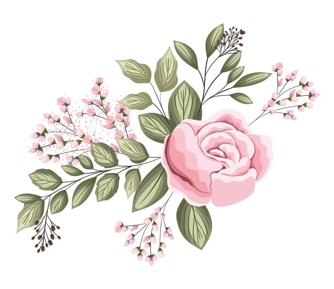 Pink rose flower with buds and leaves painting vector