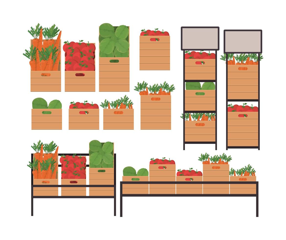 tomates lechugas y zanahorias dentro de cajas y estantes vector