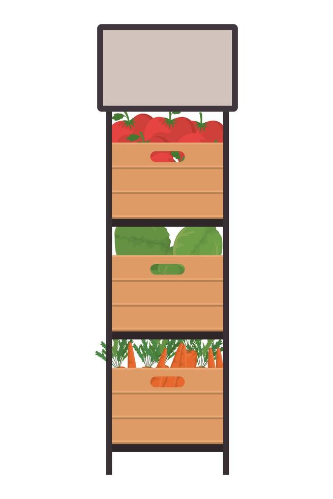 Carrots tomatoes and lettuces inside boxes vector