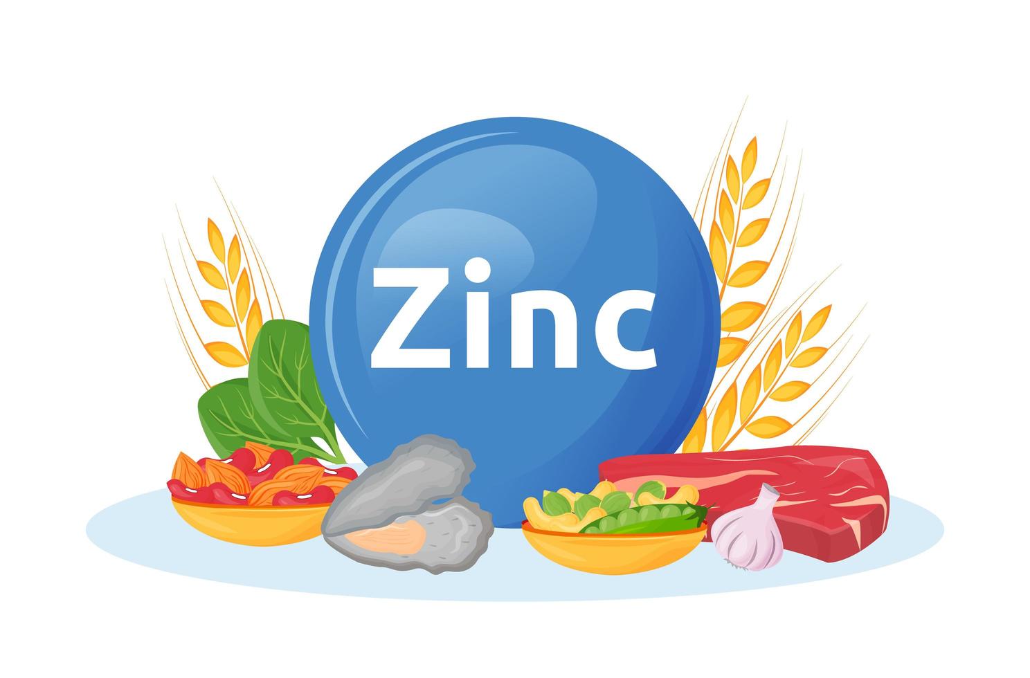 productos ricos en zinc vector