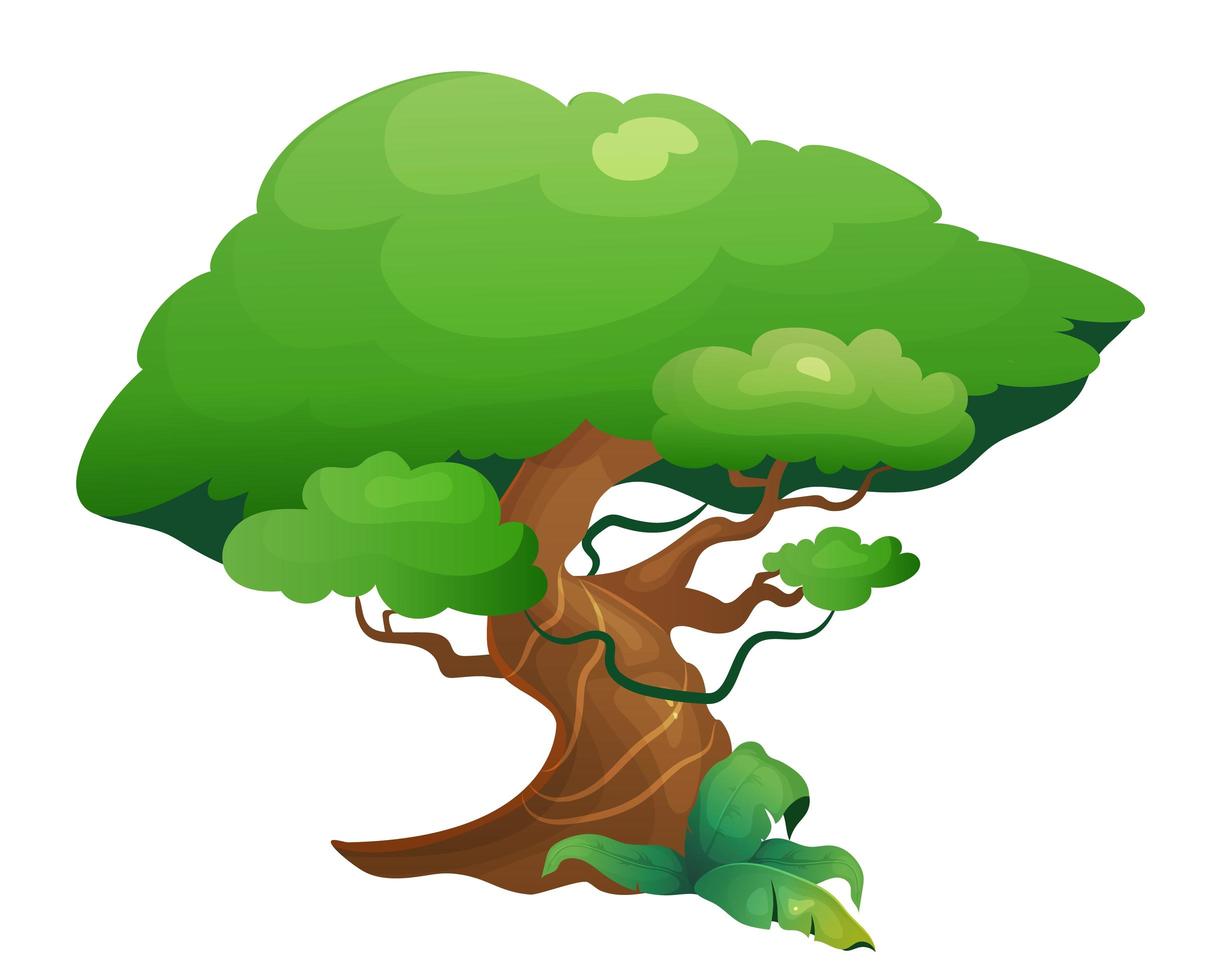 árbol de vegetación de la selva vector