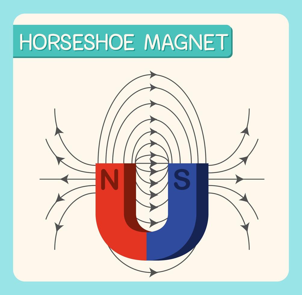 Horseshoe magnet diagram for education vector