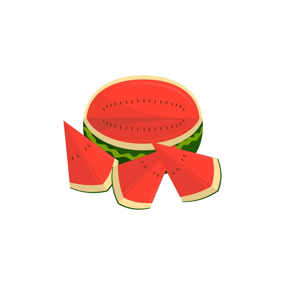 Watermelon Fruit and pieces Illustration vector