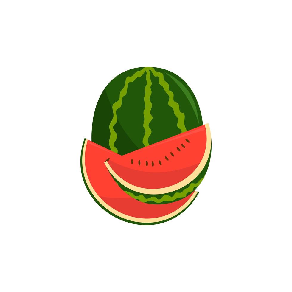 ilustración de frutas y trozos de sandía vector