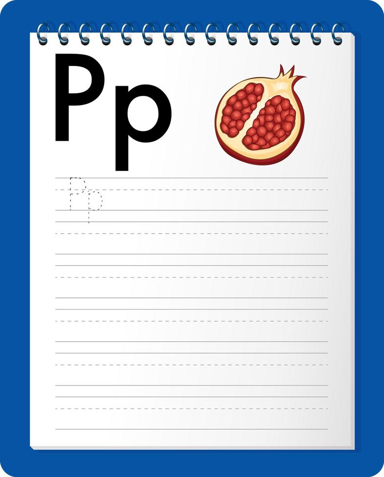 Alphabet tracing worksheet with letter P and p vector