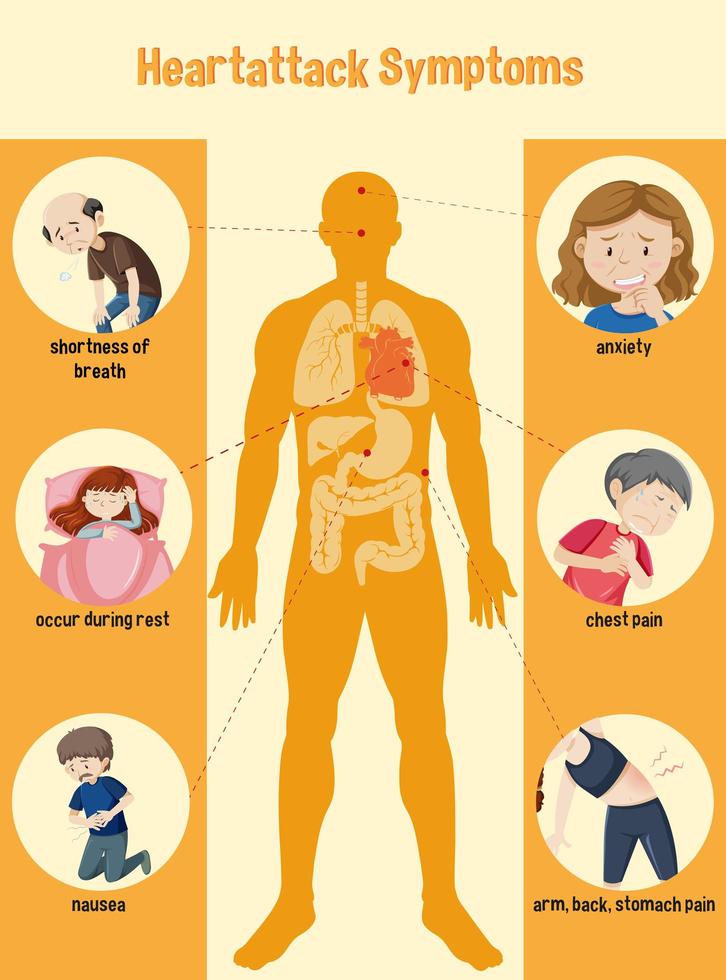 Infografía de información de síntomas de ataque al corazón vector