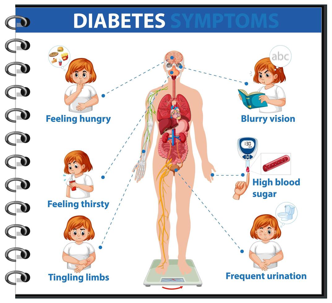 infografía de información de síntomas de diabetes vector