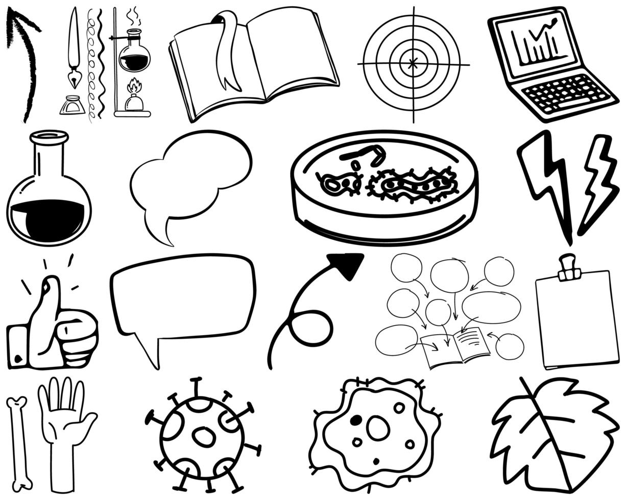 Set of item and symbol hand drawn doodle vector