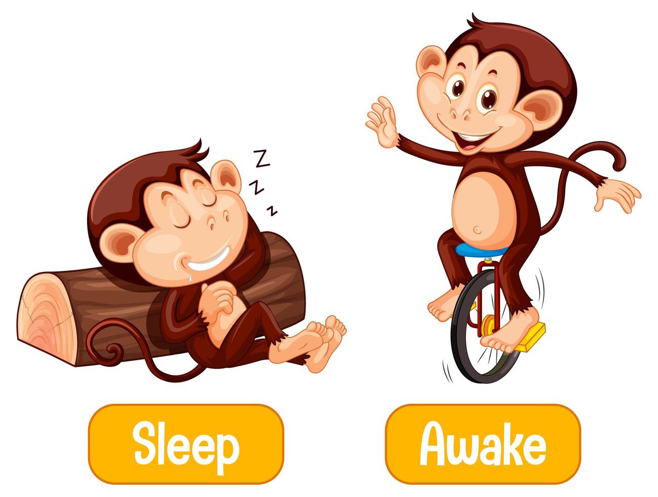 Opposite words with sleep and awake vector