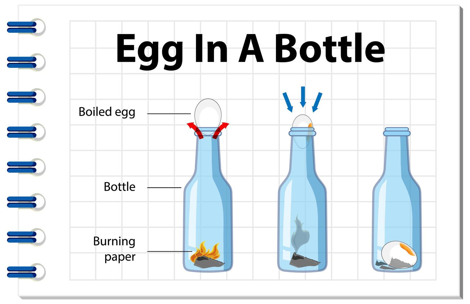 experimento científico con huevo en una botella. vector