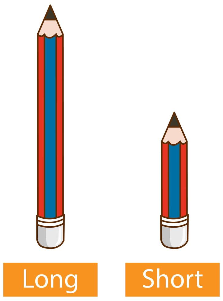 Palabras adjetivas opuestas con lápiz largo y lápiz corto sobre fondo blanco. vector