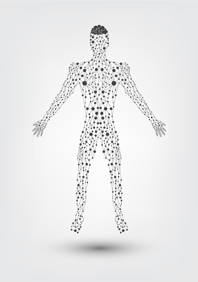 Molecule diagram of the human body vector