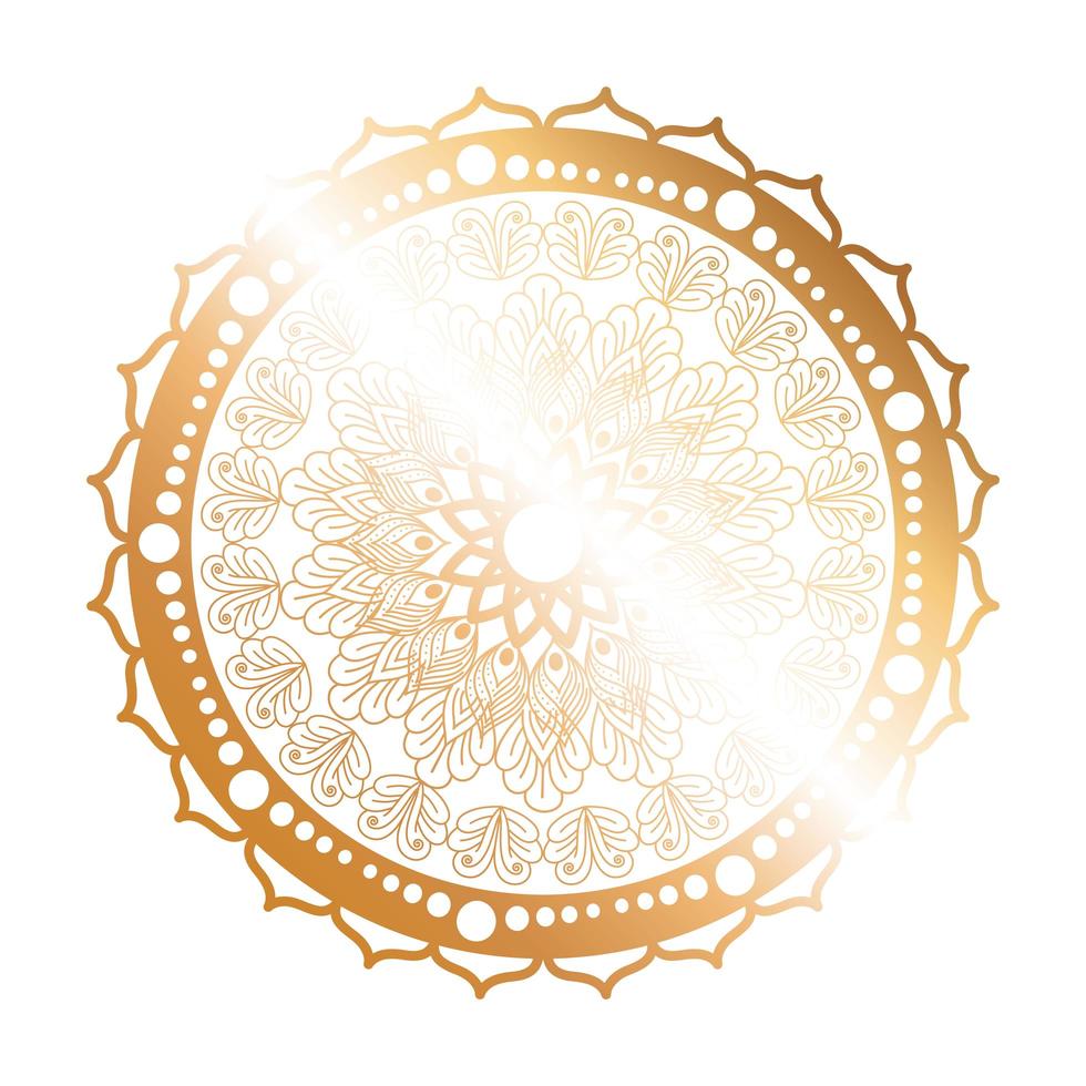 Mandala gold flower shaped design vector