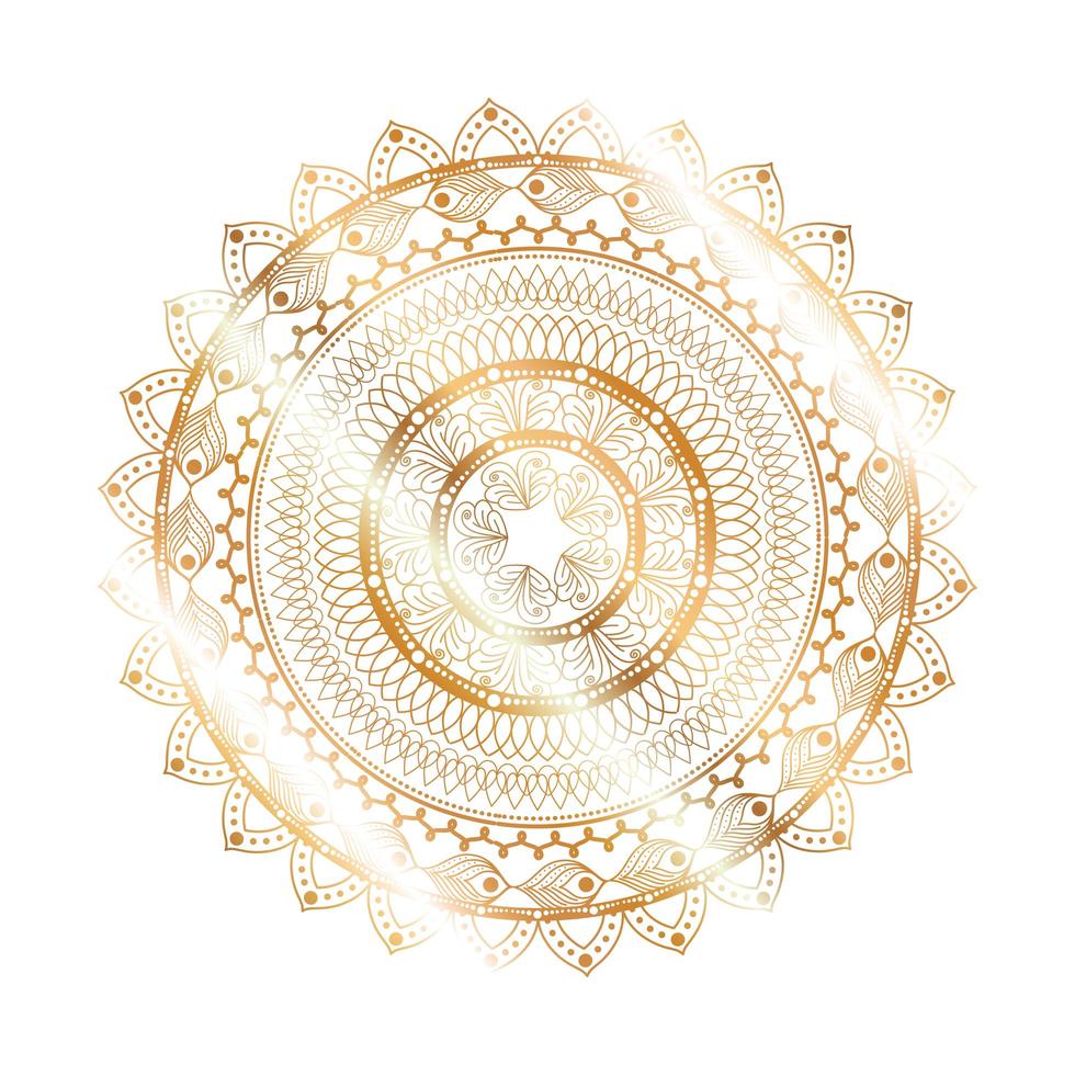 Mandala gold flower shaped design vector