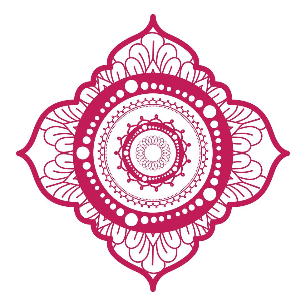 mandala en marco rosa diseño vector