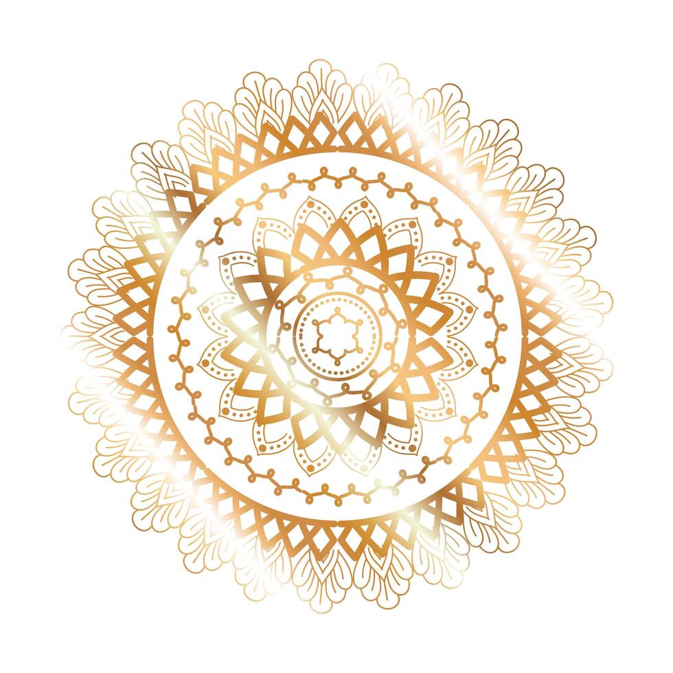 Mandala gold flower shaped design vector