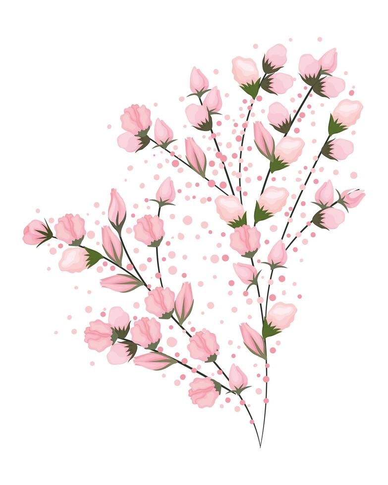 Pink buds flowers bouquet painting design vector