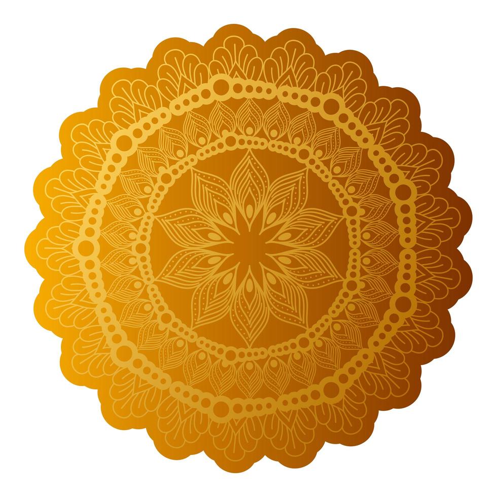 Mandala of color orange with a white background vector